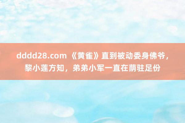 dddd28.com 《黄雀》直到被动委身佛爷，黎小莲方知，弟弟小军一直在荫驻足份