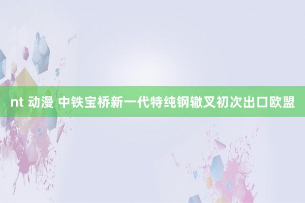 nt 动漫 中铁宝桥新一代特纯钢辙叉初次出口欧盟