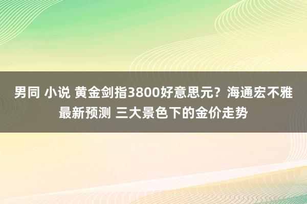 男同 小说 黄金剑指3800好意思元？海通宏不雅最新预测 三大景色下的金价走势