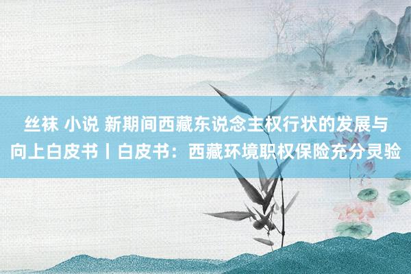 丝袜 小说 新期间西藏东说念主权行状的发展与向上白皮书丨白皮书：西藏环境职权保险充分灵验