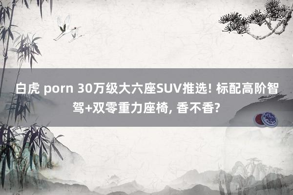 白虎 porn 30万级大六座SUV推选! 标配高阶智驾+双零重力座椅， 香不香?