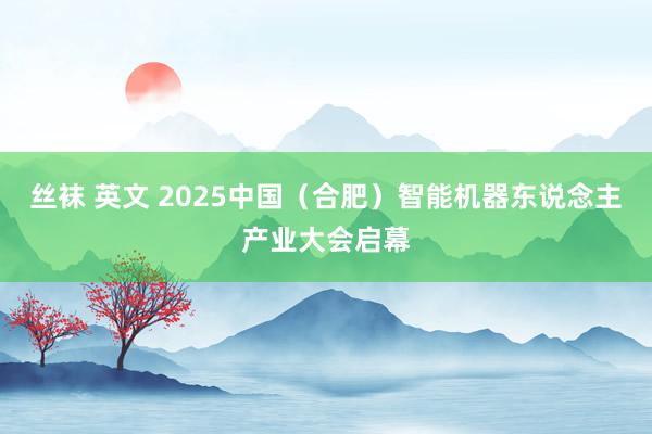 丝袜 英文 2025中国（合肥）智能机器东说念主产业大会启幕