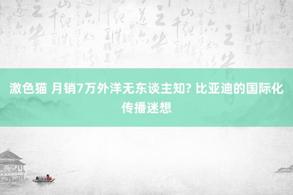 激色猫 月销7万外洋无东谈主知? 比亚迪的国际化传播迷想