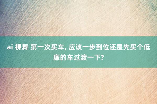 ai 裸舞 第一次买车， 应该一步到位还是先买个低廉的车过渡一下?
