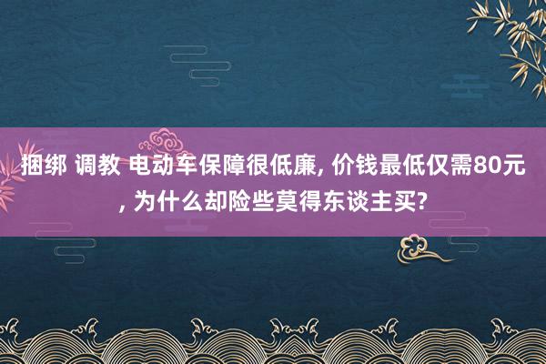 捆绑 调教 电动车保障很低廉， 价钱最低仅需80元， 为什么却险些莫得东谈主买?