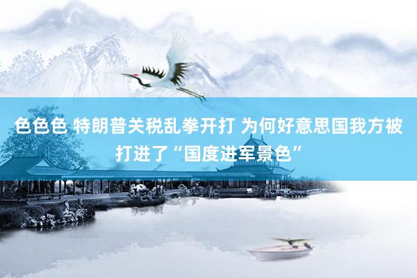 色色色 特朗普关税乱拳开打 为何好意思国我方被打进了“国度进军景色”