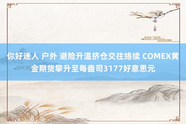 你好迷人 户外 避险升温挤仓交往络续 COMEX黄金期货攀升至每盎司3177好意思元