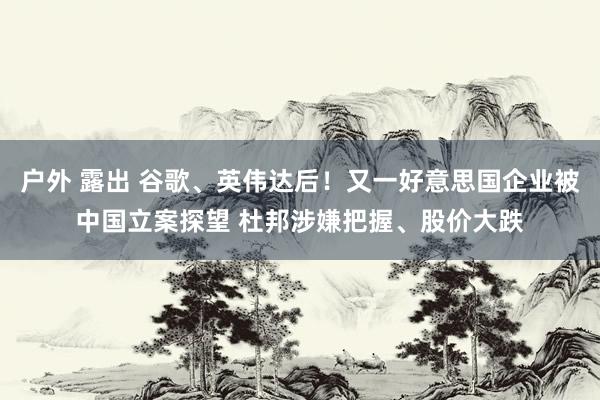 户外 露出 谷歌、英伟达后！又一好意思国企业被中国立案探望 杜邦涉嫌把握、股价大跌