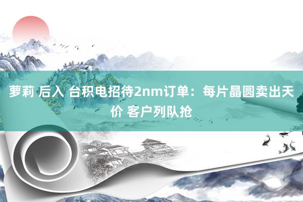 萝莉 后入 台积电招待2nm订单：每片晶圆卖出天价 客户列队抢