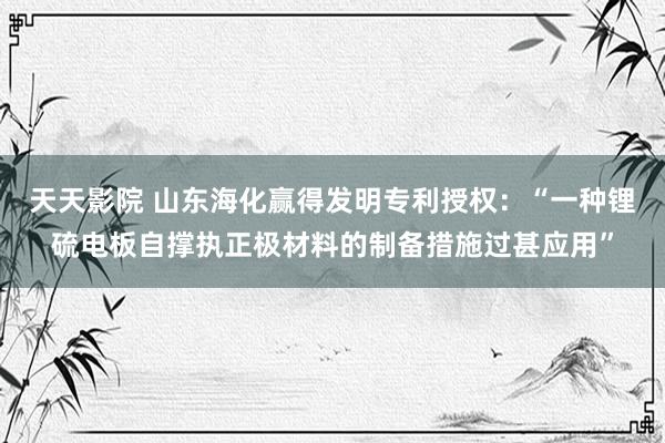 天天影院 山东海化赢得发明专利授权：“一种锂硫电板自撑执正极材料的制备措施过甚应用”