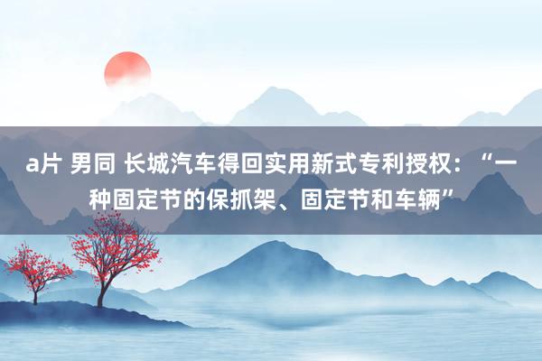 a片 男同 长城汽车得回实用新式专利授权：“一种固定节的保抓架、固定节和车辆”