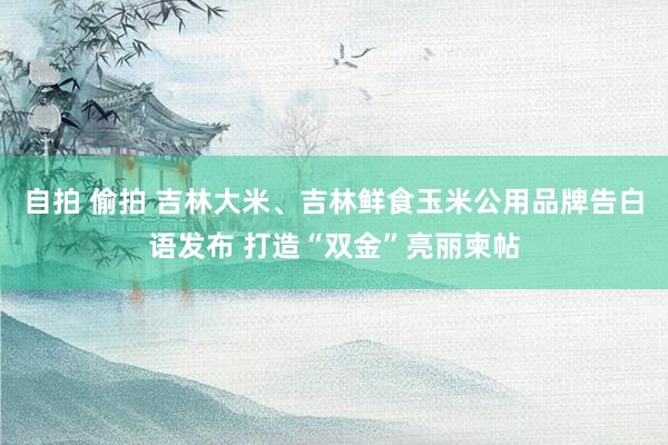自拍 偷拍 吉林大米、吉林鲜食玉米公用品牌告白语发布 打造“双金”亮丽柬帖
