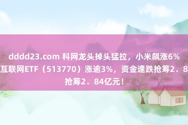 dddd23.com 科网龙头掉头猛拉，小米飙涨6%，港股互联网ETF（513770）涨逾3%，资金逢跌抢筹2．84亿元！