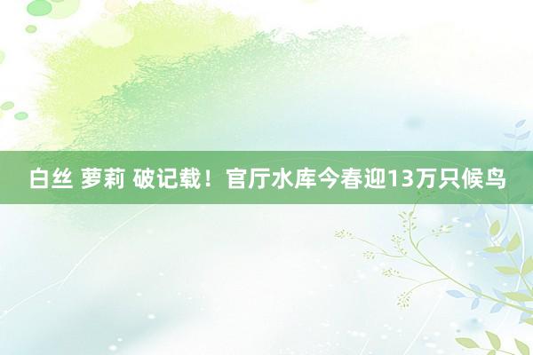 白丝 萝莉 破记载！官厅水库今春迎13万只候鸟
