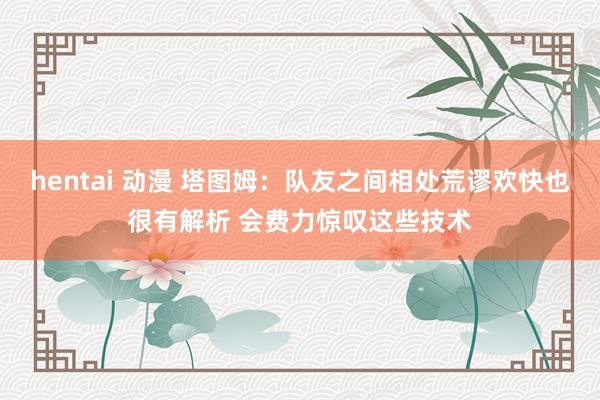 hentai 动漫 塔图姆：队友之间相处荒谬欢快也很有解析 会费力惊叹这些技术