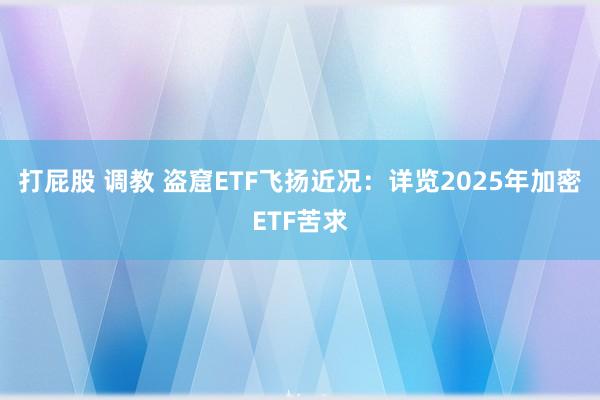 打屁股 调教 盗窟ETF飞扬近况：详览2025年加密ETF苦求