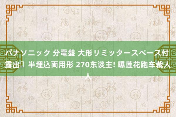 パナソニック 分電盤 大形リミッタースペース付 露出・半埋込両用形 270东谈主! 曝莲花跑车裁人