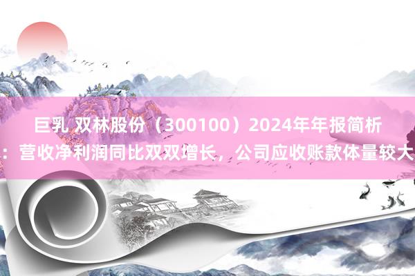 巨乳 双林股份（300100）2024年年报简析：营收净利润同比双双增长，公司应收账款体量较大