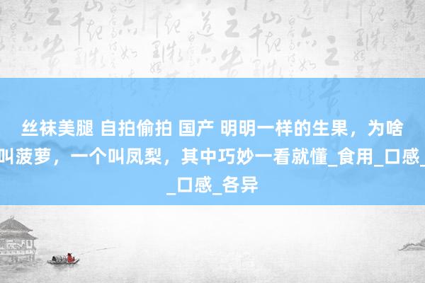 丝袜美腿 自拍偷拍 国产 明明一样的生果，为啥一个叫菠萝，一个叫凤梨，其中巧妙一看就懂_食用_口感_各异