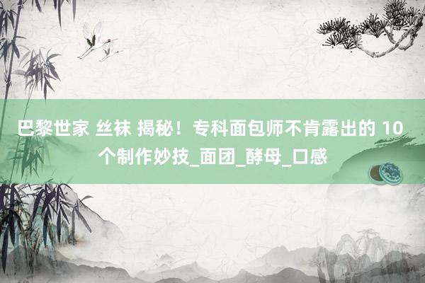 巴黎世家 丝袜 揭秘！专科面包师不肯露出的 10 个制作妙技_面团_酵母_口感