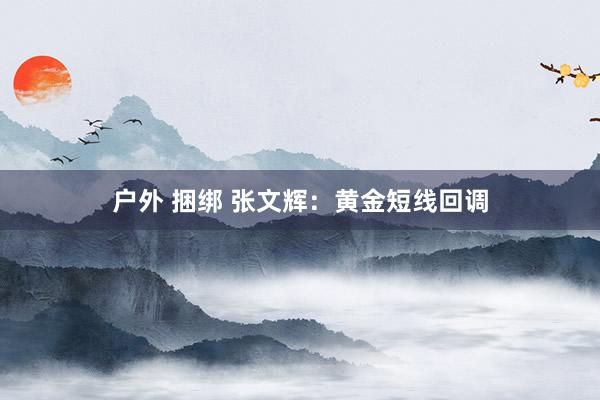 户外 捆绑 张文辉：黄金短线回调