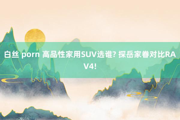 白丝 porn 高品性家用SUV选谁? 探岳家眷对比RAV4!