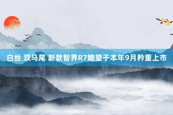 白丝 双马尾 新款智界R7瞻望于本年9月矜重上市