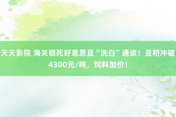 天天影院 海关锁死好意思豆“洗白”通谈！豆粕冲破4300元/吨，饲料加价！