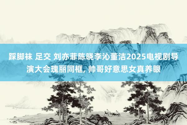 踩脚袜 足交 刘亦菲陈晓李沁董洁2025电视剧导演大会瑰丽同框， 帅哥好意思女真养眼