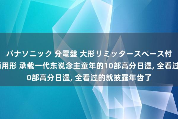 パナソニック 分電盤 大形リミッタースペース付 露出・半埋込両用形 承载一代东说念主童年的10部高分日漫， 全看过的就披露年齿了