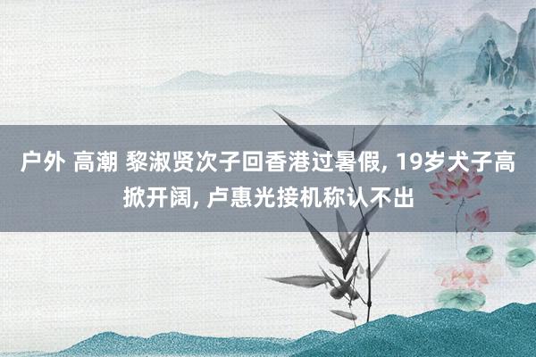 户外 高潮 黎淑贤次子回香港过暑假， 19岁犬子高掀开阔， 卢惠光接机称认不出