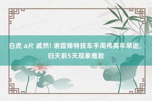 白虎 a片 戚然! 谢霆锋特技车手周伟英年早逝， 归天前5天现象雅致